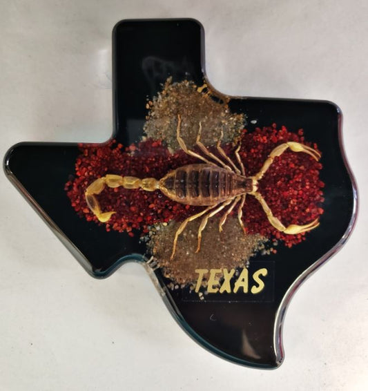 Texas Shaped Scorpion Paperweight